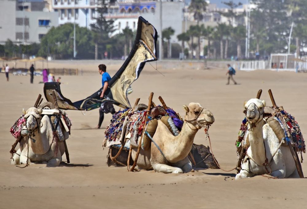 Dakhla