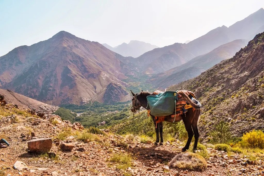 Atlas Mountains